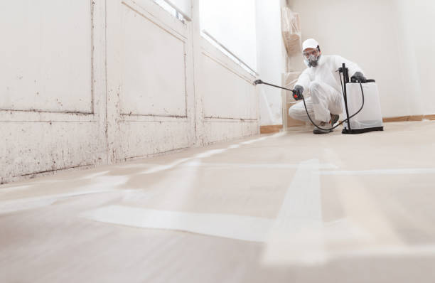 24/7 Emergency Black Mold Remediation experts in Trenton, IL